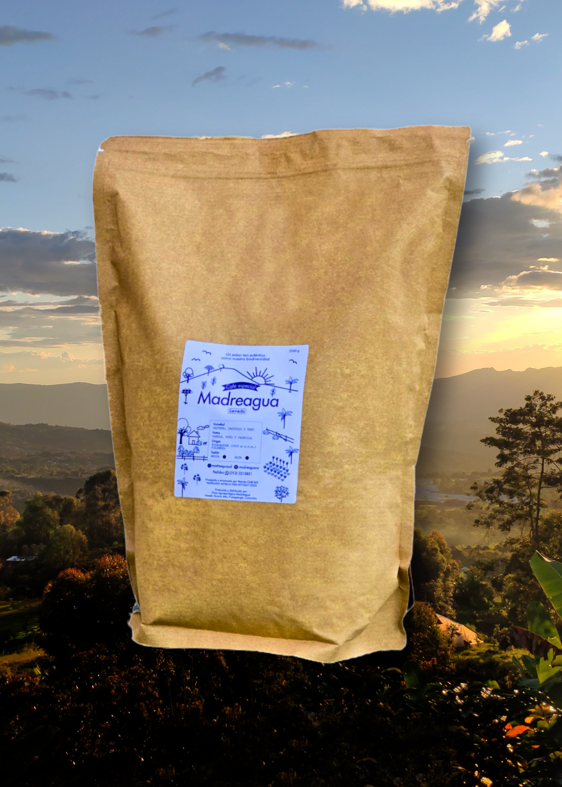 Café Lavado - Imagen 3