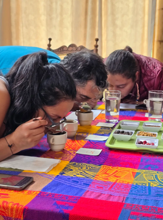 imagen_2025-02-03_012818210